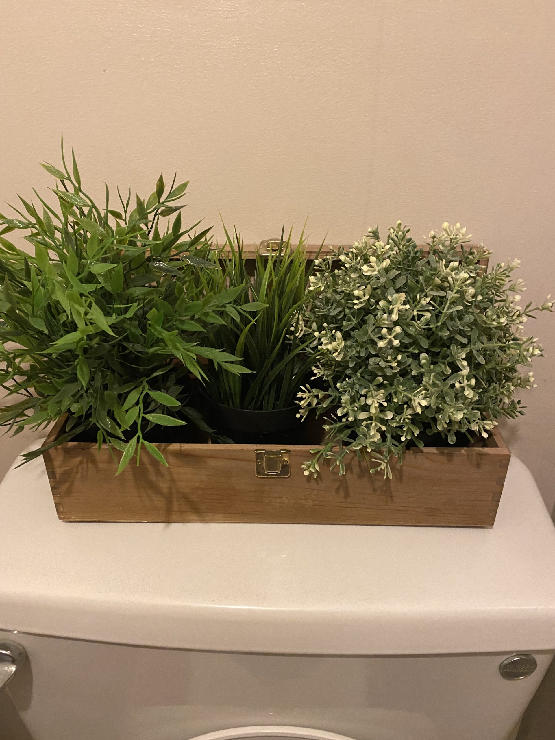 Holistic Treatments Amelia Lane Beauty