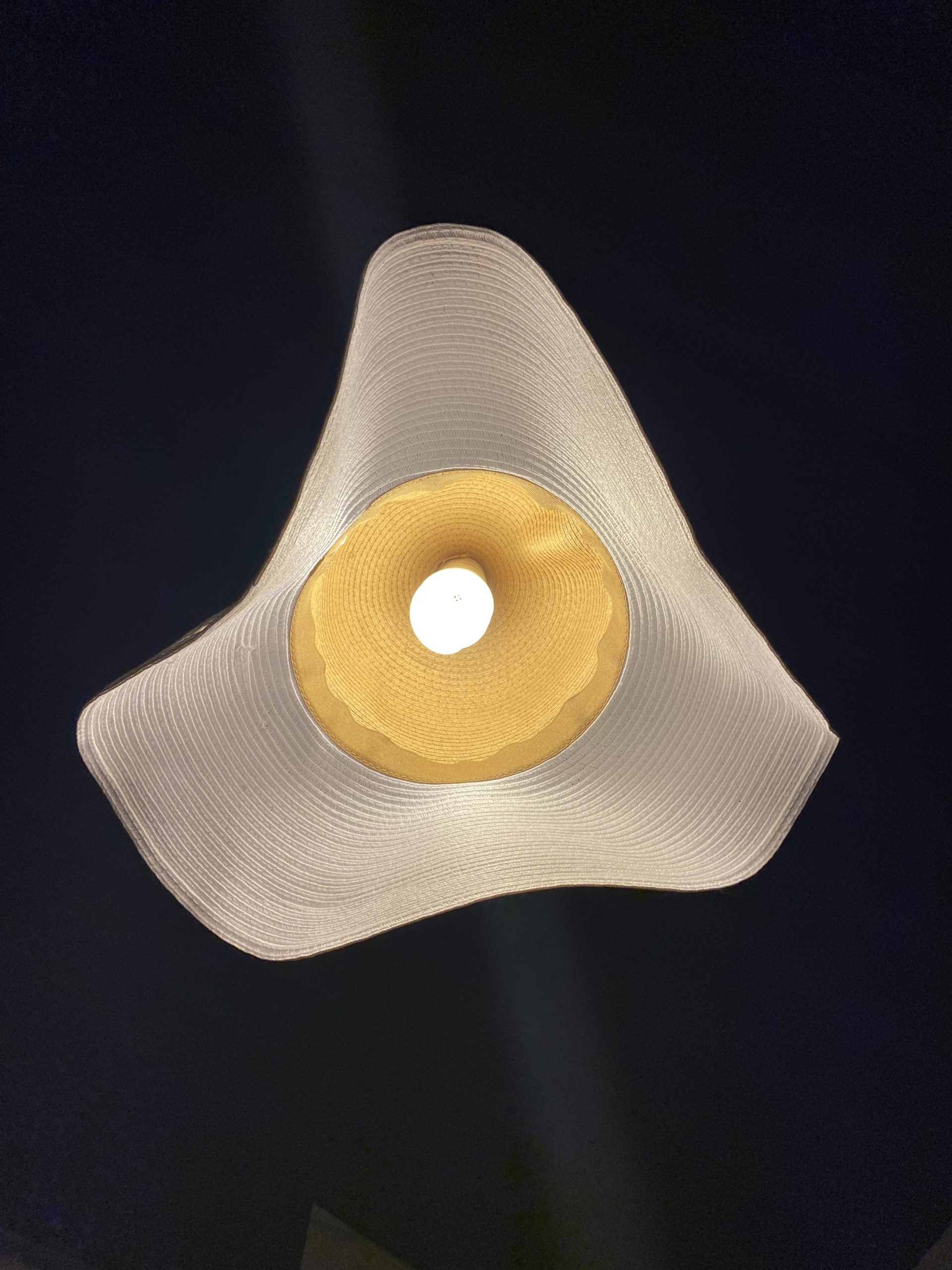 Holistic Treatments Amelia Lane Beauty